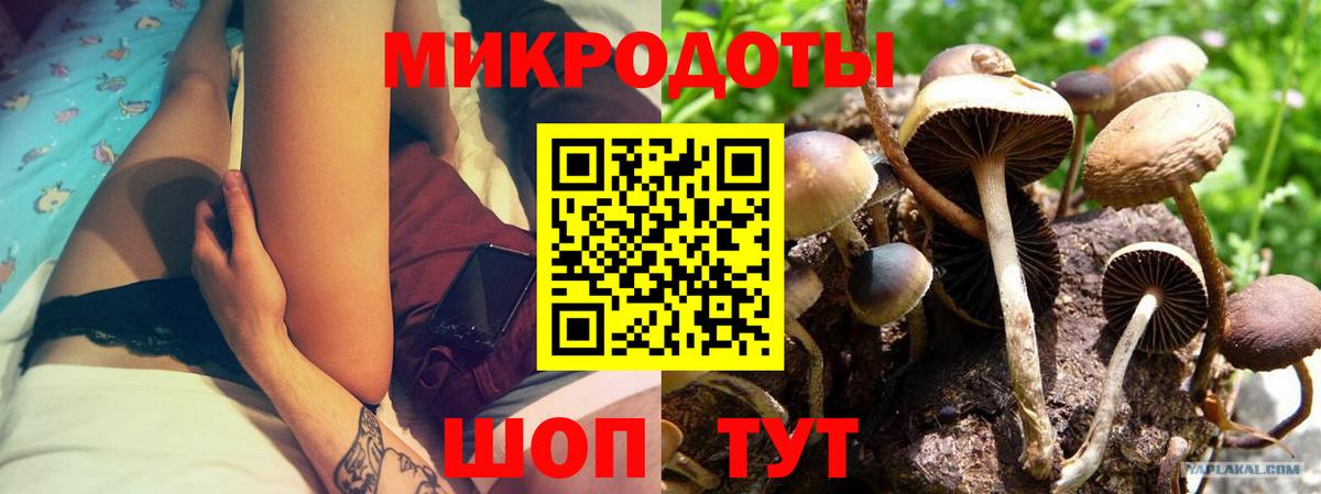 Азнакаево  где продают наркотики  Вход с VPN  Галлюциногенные грибы прущие грибы 