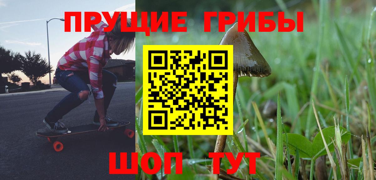 Псилоцибиновые грибы MAGIC MUSHROOMS Азнакаево